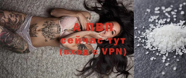 прущий лед Абаза