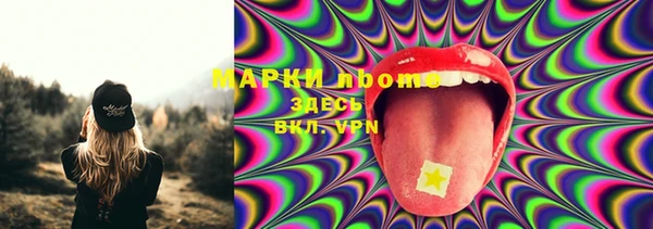 прущий лед Абаза